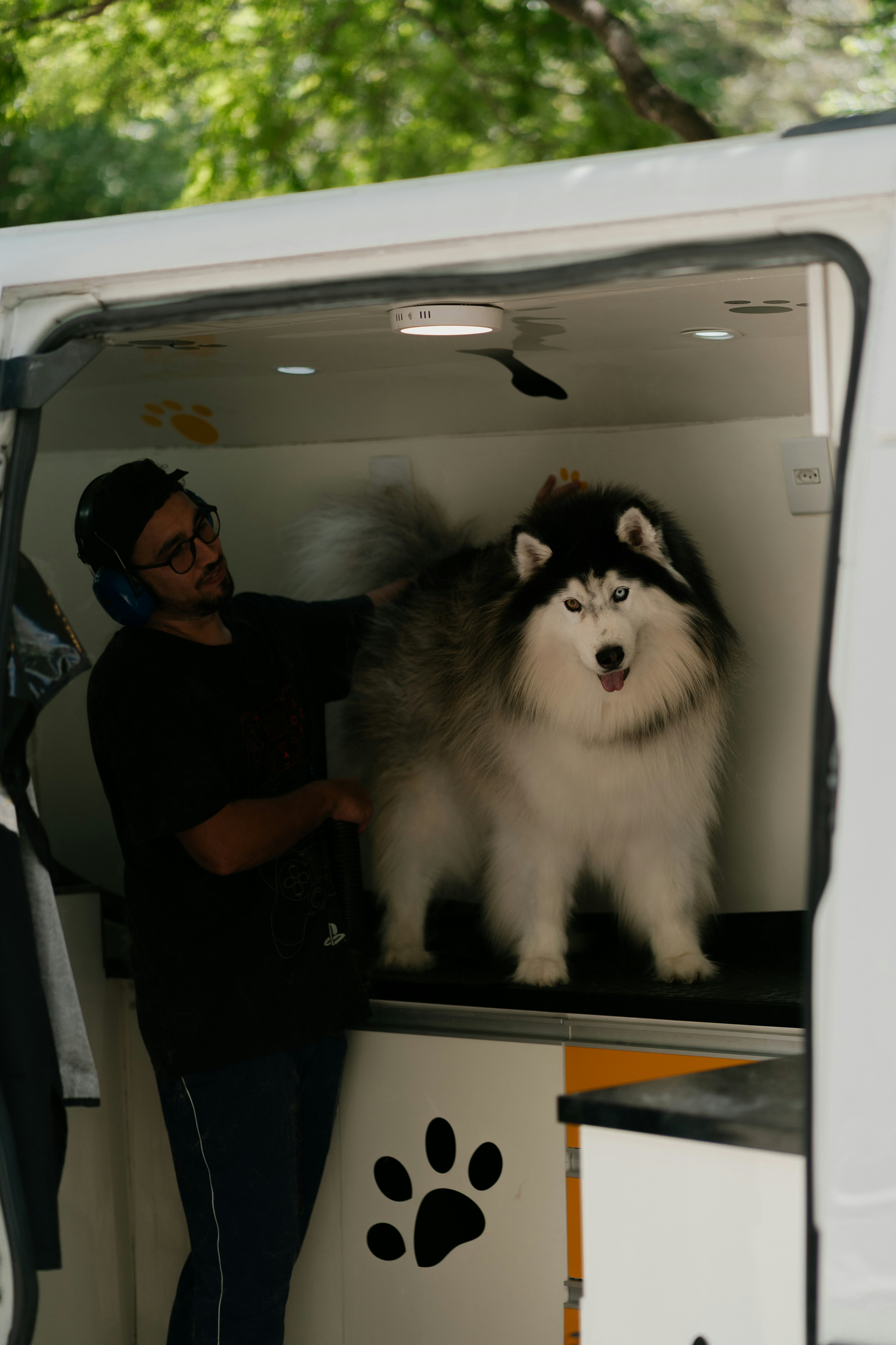 Mobile Pet Groomers